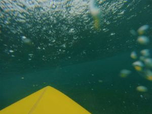 Polskie Surferki na Kanarach